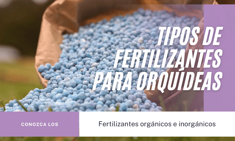 Fertilizantes-para-orquideas